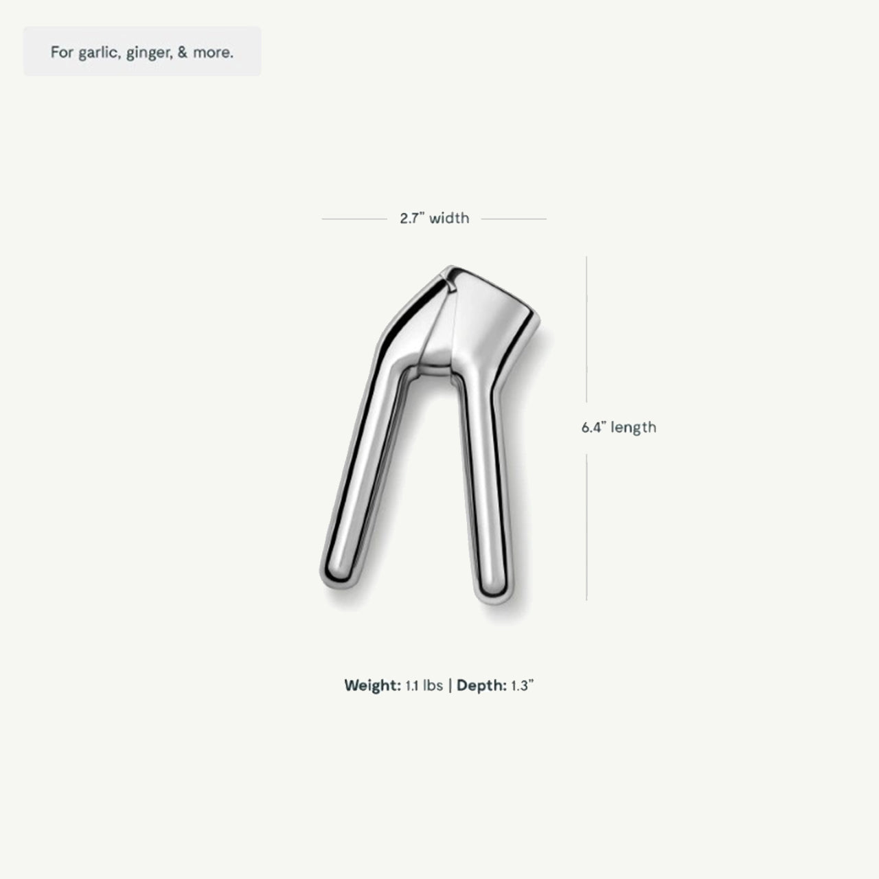 Stainless Steel Garlic Press