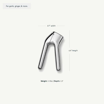 Stainless Steel Garlic Press