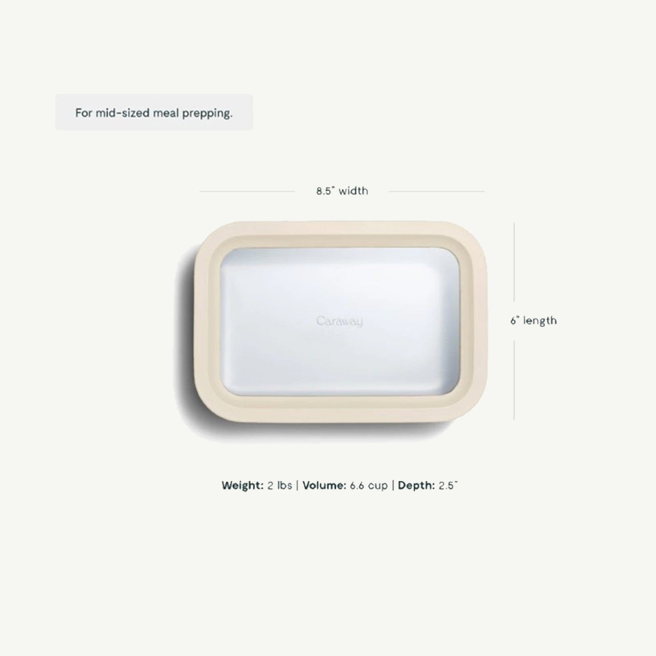 Medium Storage Container