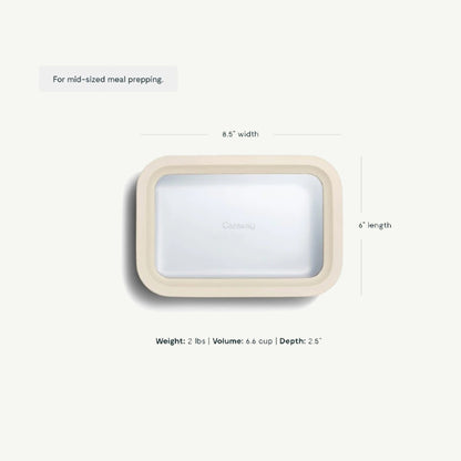 Medium Storage Container